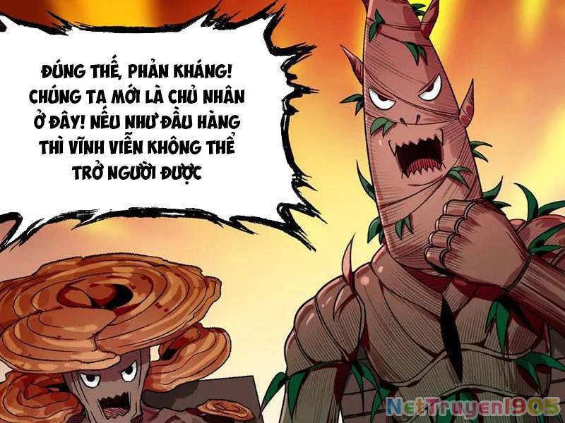 Gặp Mạnh Thì Mạnh, Ta Tu Vi Vô Thượng Hạn Chapter 48 - Trang 2