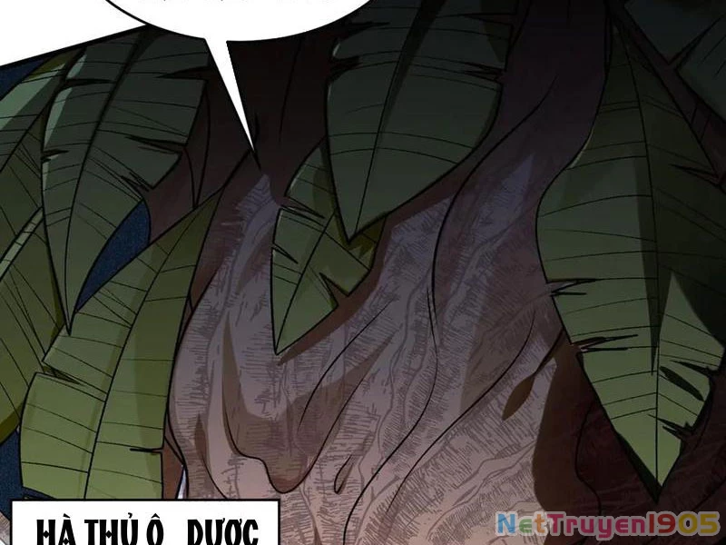 Gặp Mạnh Thì Mạnh, Ta Tu Vi Vô Thượng Hạn Chapter 48 - Trang 2