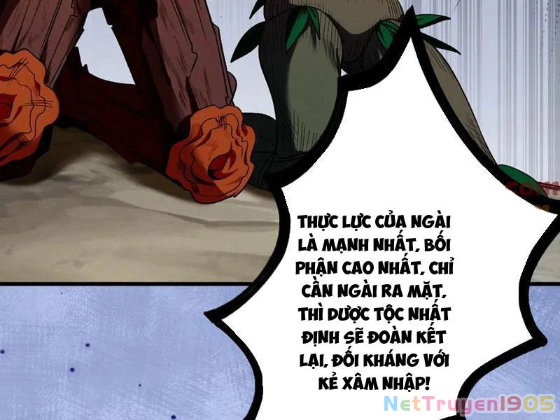 Gặp Mạnh Thì Mạnh, Ta Tu Vi Vô Thượng Hạn Chapter 48 - Trang 2