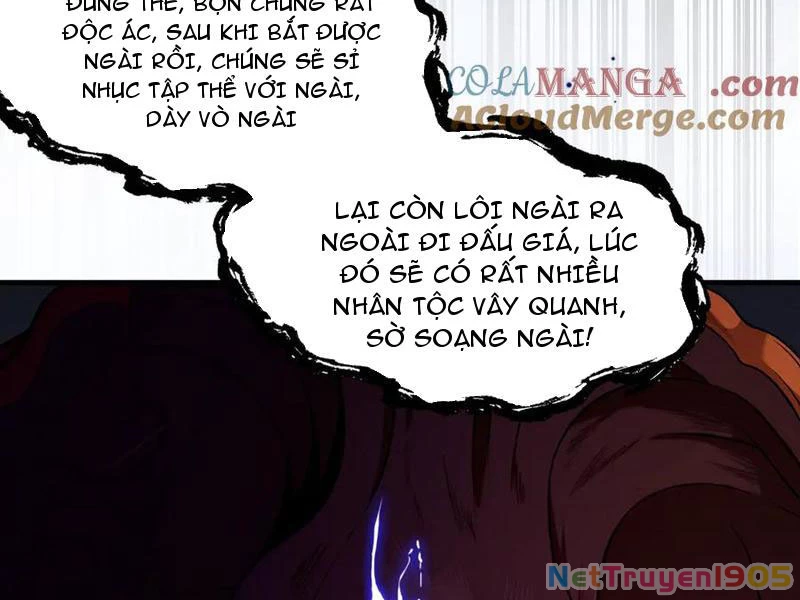 Gặp Mạnh Thì Mạnh, Ta Tu Vi Vô Thượng Hạn Chapter 48 - Trang 2
