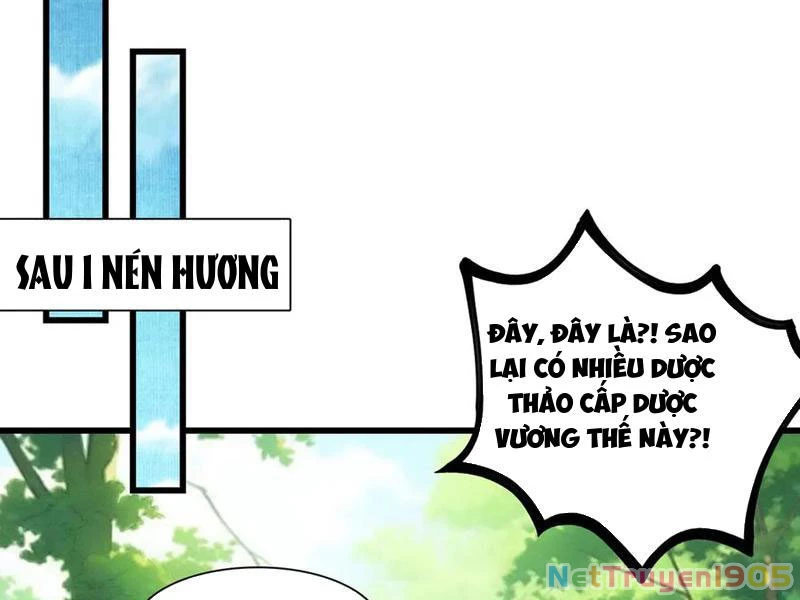 Gặp Mạnh Thì Mạnh, Ta Tu Vi Vô Thượng Hạn Chapter 49 - Trang 2