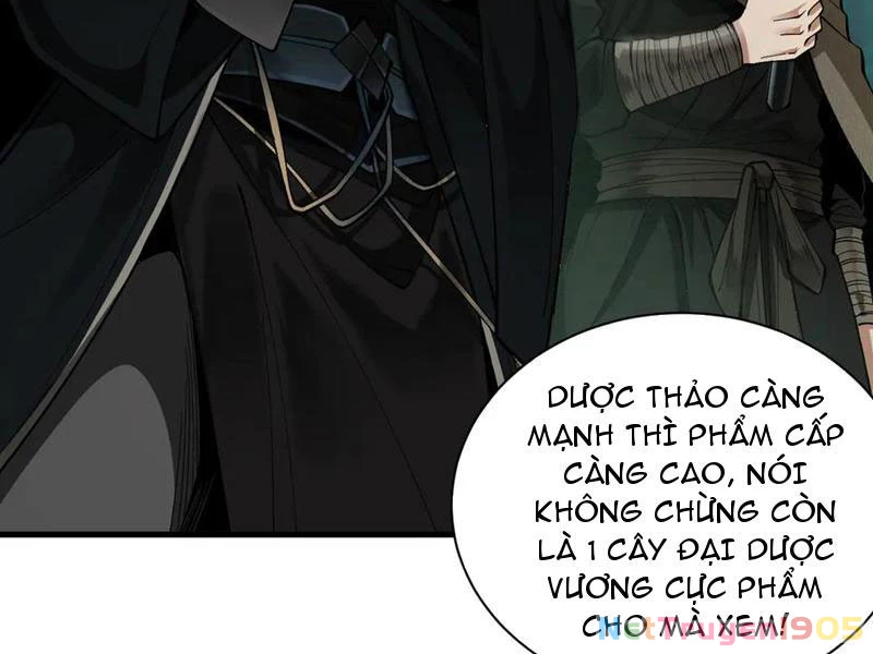 Gặp Mạnh Thì Mạnh, Ta Tu Vi Vô Thượng Hạn Chapter 49 - Trang 2