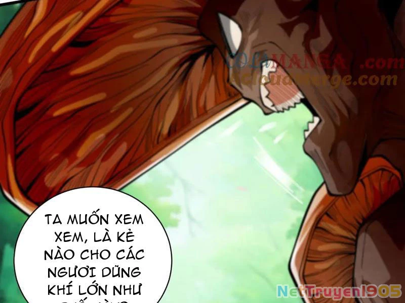 Gặp Mạnh Thì Mạnh, Ta Tu Vi Vô Thượng Hạn Chapter 49 - Trang 2