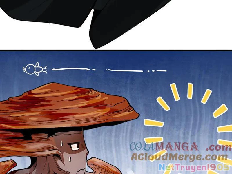 Gặp Mạnh Thì Mạnh, Ta Tu Vi Vô Thượng Hạn Chapter 49 - Trang 2