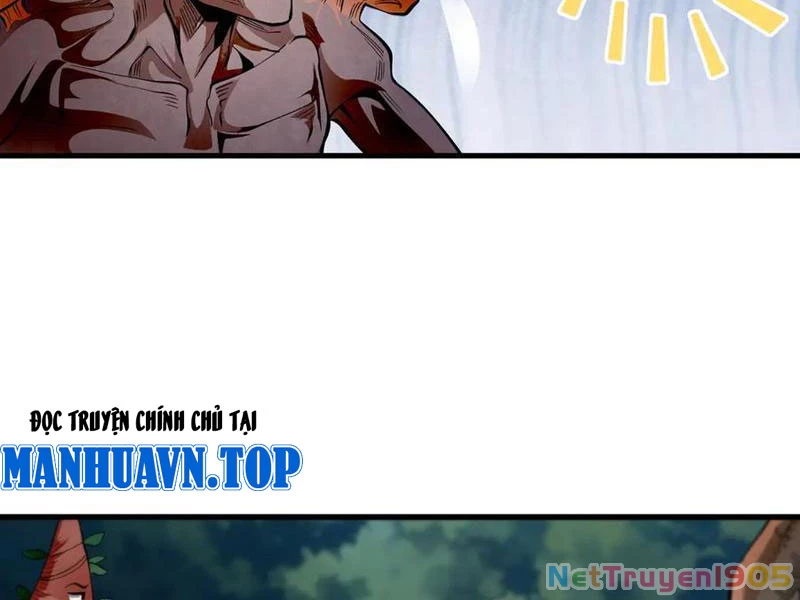 Gặp Mạnh Thì Mạnh, Ta Tu Vi Vô Thượng Hạn Chapter 49 - Trang 2