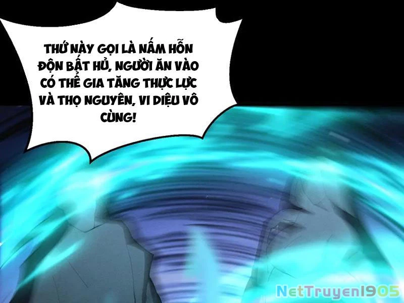 Gặp Mạnh Thì Mạnh, Ta Tu Vi Vô Thượng Hạn Chapter 49 - Trang 2