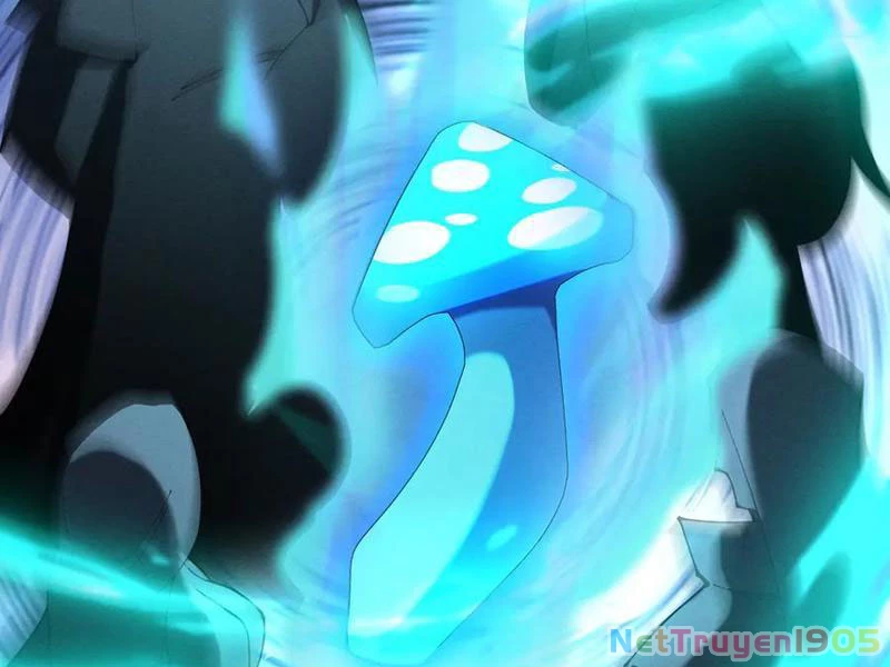 Gặp Mạnh Thì Mạnh, Ta Tu Vi Vô Thượng Hạn Chapter 49 - Trang 2