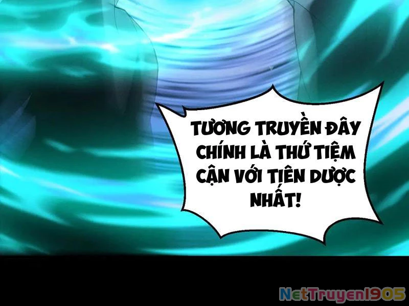 Gặp Mạnh Thì Mạnh, Ta Tu Vi Vô Thượng Hạn Chapter 49 - Trang 2