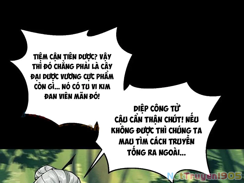 Gặp Mạnh Thì Mạnh, Ta Tu Vi Vô Thượng Hạn Chapter 49 - Trang 2