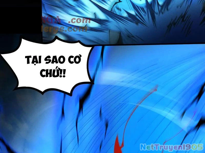 Gặp Mạnh Thì Mạnh, Ta Tu Vi Vô Thượng Hạn Chapter 49 - Trang 2