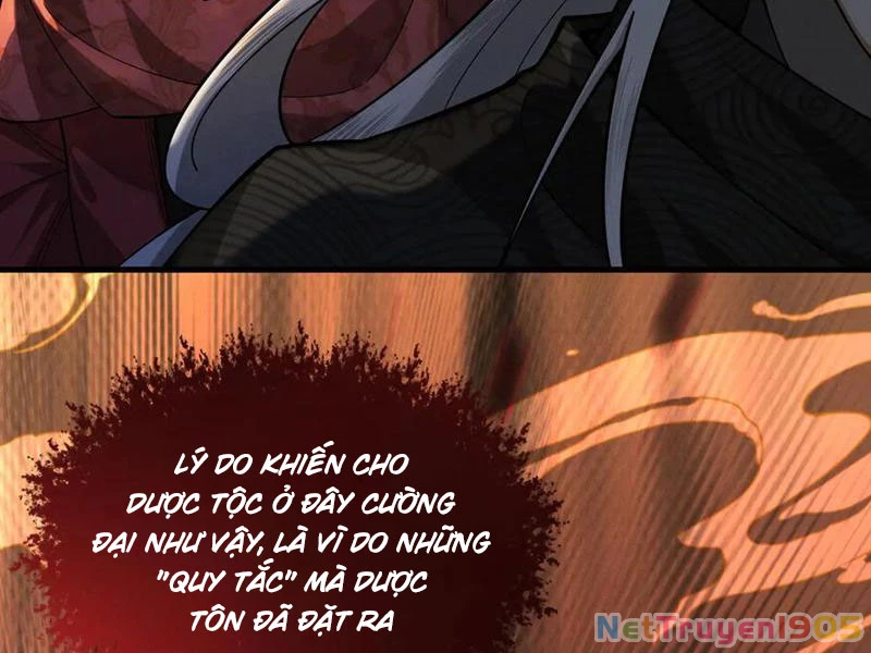 Gặp Mạnh Thì Mạnh, Ta Tu Vi Vô Thượng Hạn Chapter 49 - Trang 2