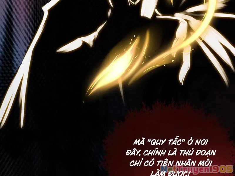 Gặp Mạnh Thì Mạnh, Ta Tu Vi Vô Thượng Hạn Chapter 49 - Trang 2