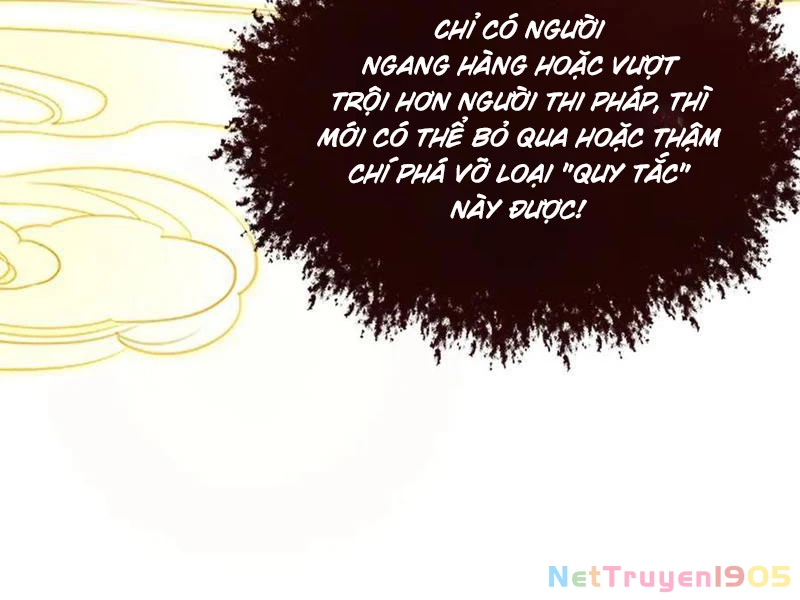 Gặp Mạnh Thì Mạnh, Ta Tu Vi Vô Thượng Hạn Chapter 49 - Trang 2