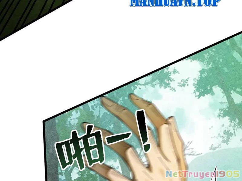 Gặp Mạnh Thì Mạnh, Ta Tu Vi Vô Thượng Hạn Chapter 49 - Trang 2