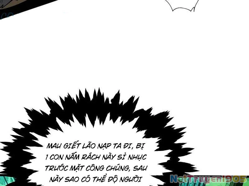 Gặp Mạnh Thì Mạnh, Ta Tu Vi Vô Thượng Hạn Chapter 49 - Trang 2