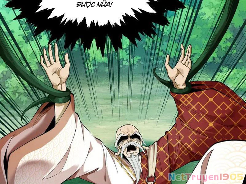 Gặp Mạnh Thì Mạnh, Ta Tu Vi Vô Thượng Hạn Chapter 49 - Trang 2