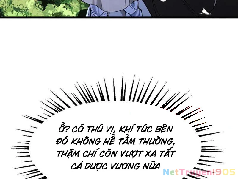 Gặp Mạnh Thì Mạnh, Ta Tu Vi Vô Thượng Hạn Chapter 49 - Trang 2