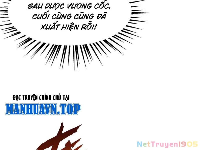 Gặp Mạnh Thì Mạnh, Ta Tu Vi Vô Thượng Hạn Chapter 49 - Trang 2