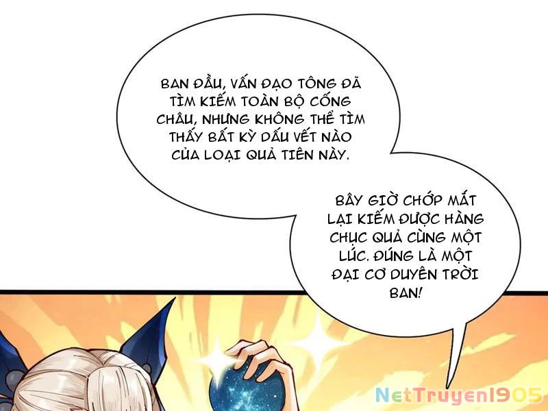 Gặp Mạnh Thì Mạnh, Ta Tu Vi Vô Thượng Hạn Chapter 49 - Trang 2