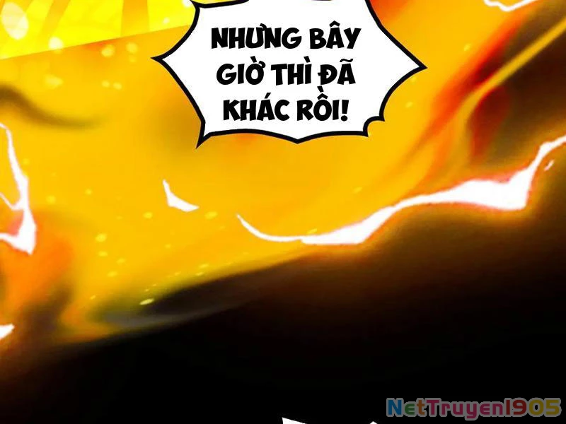 Gặp Mạnh Thì Mạnh, Ta Tu Vi Vô Thượng Hạn Chapter 52 - Trang 2