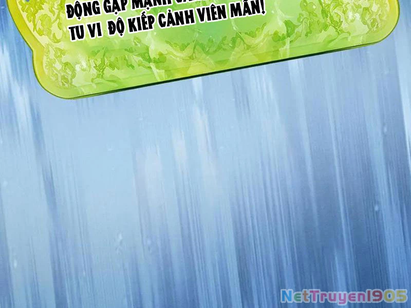 Gặp Mạnh Thì Mạnh, Ta Tu Vi Vô Thượng Hạn Chapter 52 - Trang 2