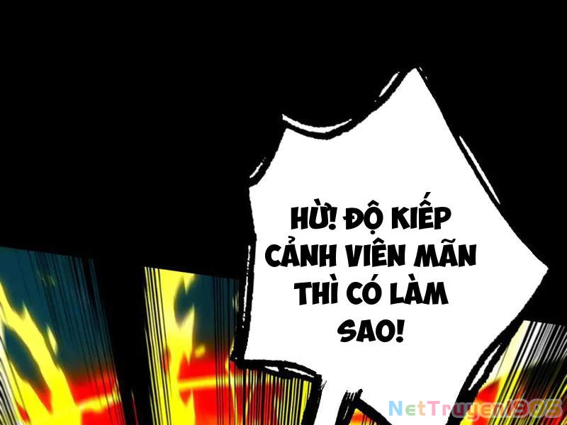 Gặp Mạnh Thì Mạnh, Ta Tu Vi Vô Thượng Hạn Chapter 52 - Trang 2