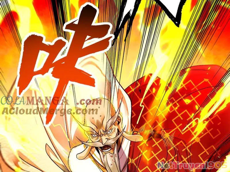 Gặp Mạnh Thì Mạnh, Ta Tu Vi Vô Thượng Hạn Chapter 52 - Trang 2