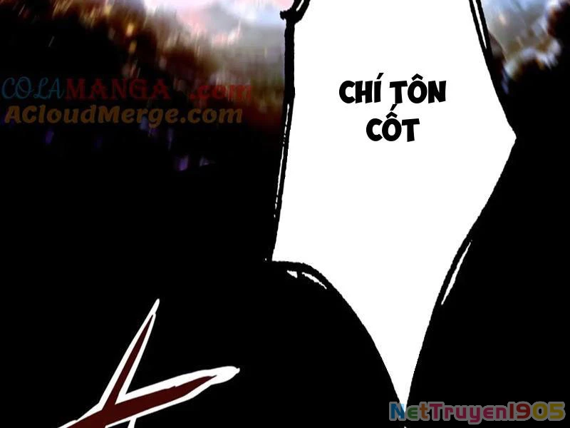 Gặp Mạnh Thì Mạnh, Ta Tu Vi Vô Thượng Hạn Chapter 52 - Trang 2