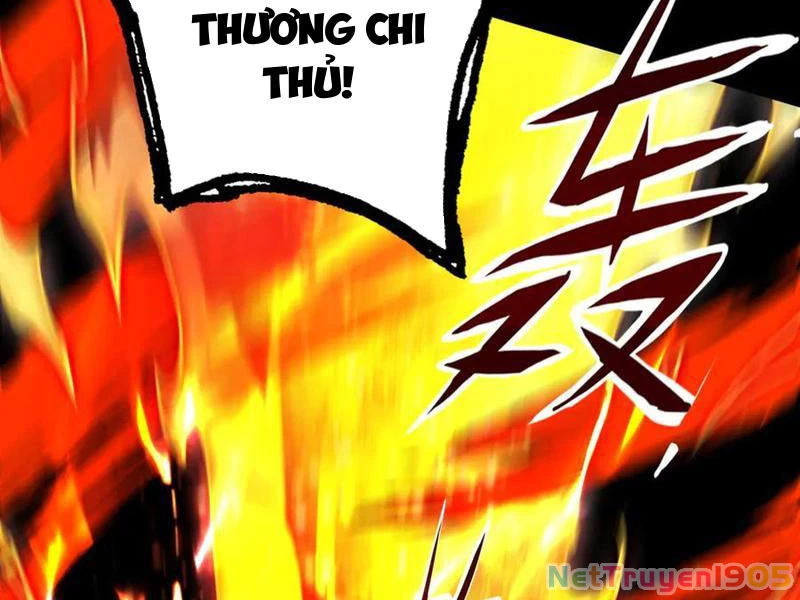 Gặp Mạnh Thì Mạnh, Ta Tu Vi Vô Thượng Hạn Chapter 52 - Trang 2