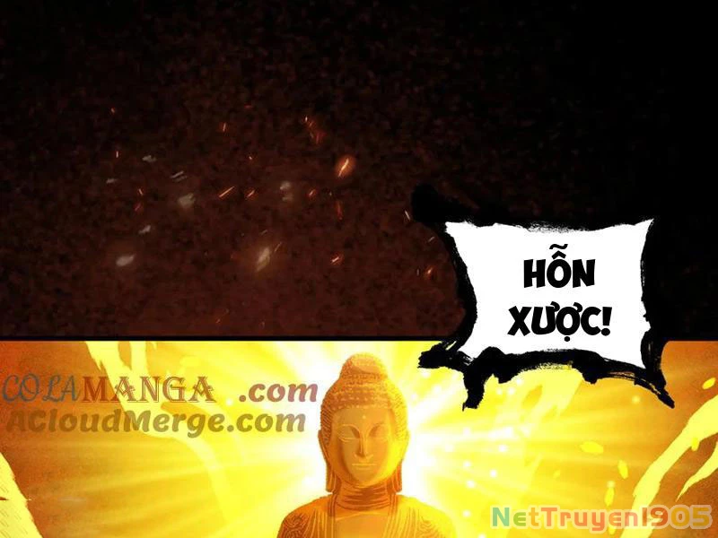 Gặp Mạnh Thì Mạnh, Ta Tu Vi Vô Thượng Hạn Chapter 52 - Trang 2