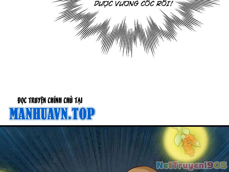 Gặp Mạnh Thì Mạnh, Ta Tu Vi Vô Thượng Hạn Chapter 52 - Trang 2