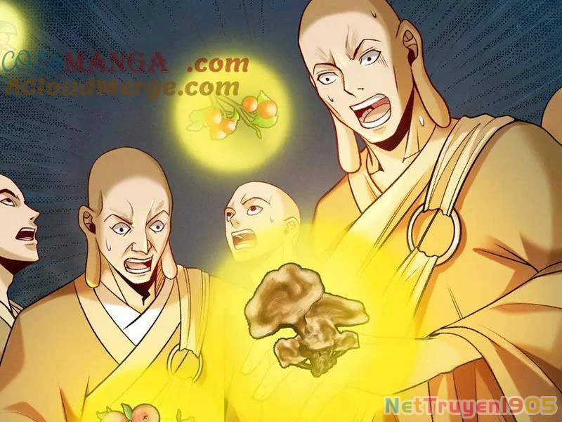 Gặp Mạnh Thì Mạnh, Ta Tu Vi Vô Thượng Hạn Chapter 52 - Trang 2