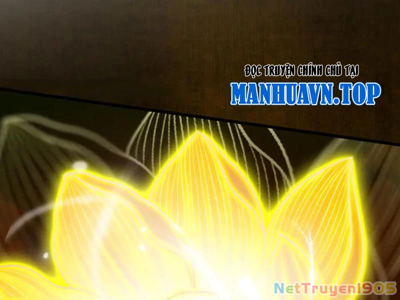 Gặp Mạnh Thì Mạnh, Ta Tu Vi Vô Thượng Hạn Chapter 52 - Trang 2