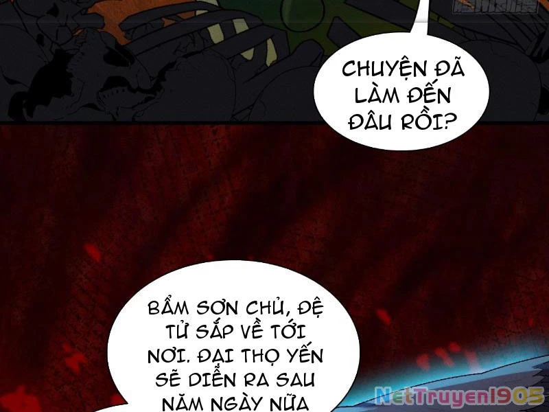 Gặp Mạnh Thì Mạnh, Ta Tu Vi Vô Thượng Hạn Chapter 55 - Trang 2