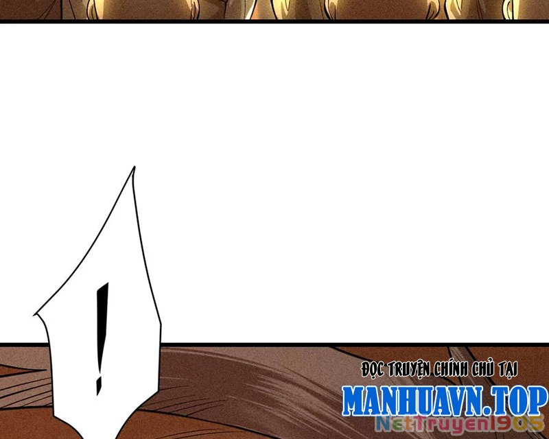 Gặp Mạnh Thì Mạnh, Ta Tu Vi Vô Thượng Hạn Chapter 56 - Trang 2