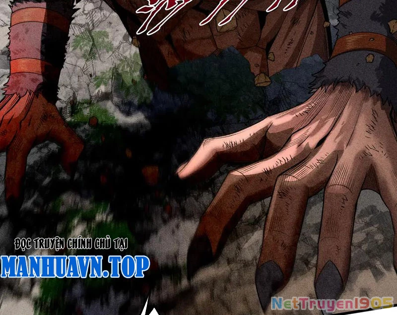 Gặp Mạnh Thì Mạnh, Ta Tu Vi Vô Thượng Hạn Chapter 56 - Trang 2