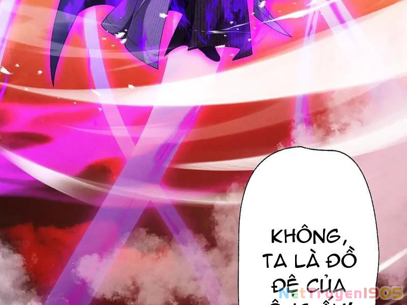 Gặp Mạnh Thì Mạnh, Ta Tu Vi Vô Thượng Hạn Chapter 63 - Trang 2