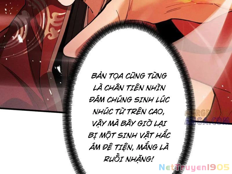Gặp Mạnh Thì Mạnh, Ta Tu Vi Vô Thượng Hạn Chapter 64 - Trang 2