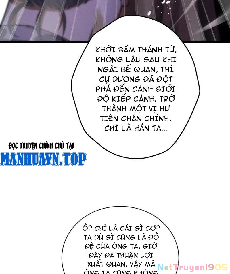 Gặp Mạnh Thì Mạnh, Ta Tu Vi Vô Thượng Hạn Chapter 65 - Trang 2