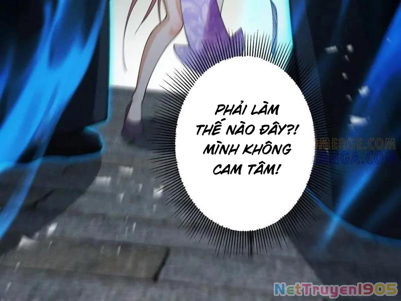 Gặp Mạnh Thì Mạnh, Ta Tu Vi Vô Thượng Hạn Chapter 70 - Trang 2