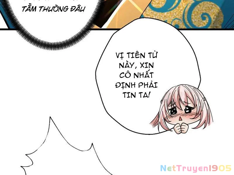 Gặp Mạnh Thì Mạnh, Ta Tu Vi Vô Thượng Hạn Chapter 70 - Trang 2