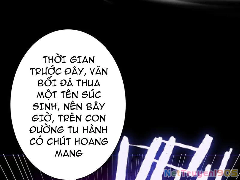 Gặp Mạnh Thì Mạnh, Ta Tu Vi Vô Thượng Hạn Chapter 70 - Trang 2