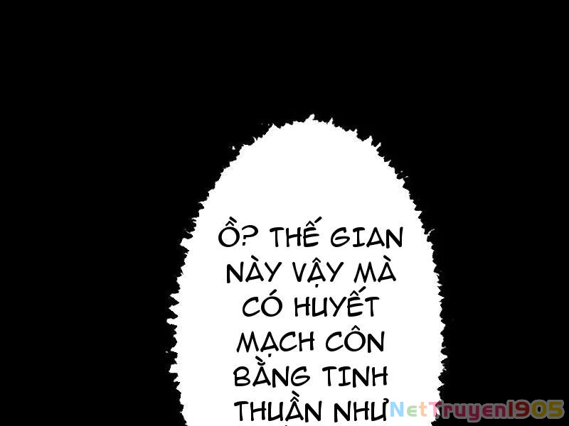 Gặp Mạnh Thì Mạnh, Ta Tu Vi Vô Thượng Hạn Chapter 70 - Trang 2