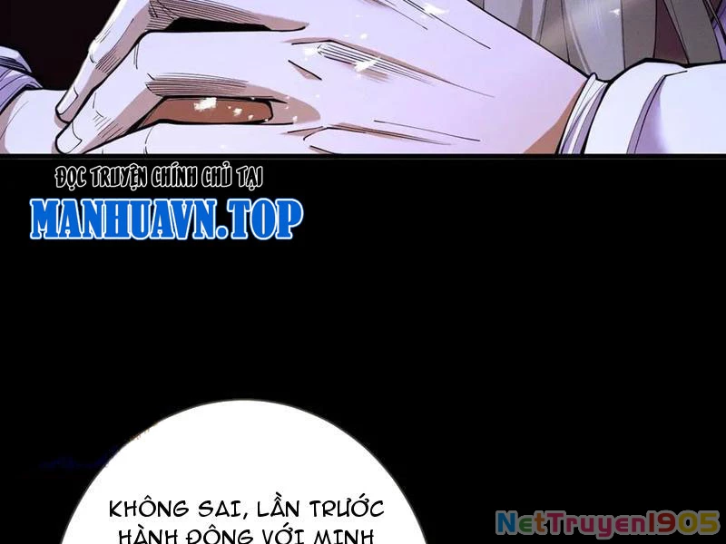 Gặp Mạnh Thì Mạnh, Ta Tu Vi Vô Thượng Hạn Chapter 70 - Trang 2