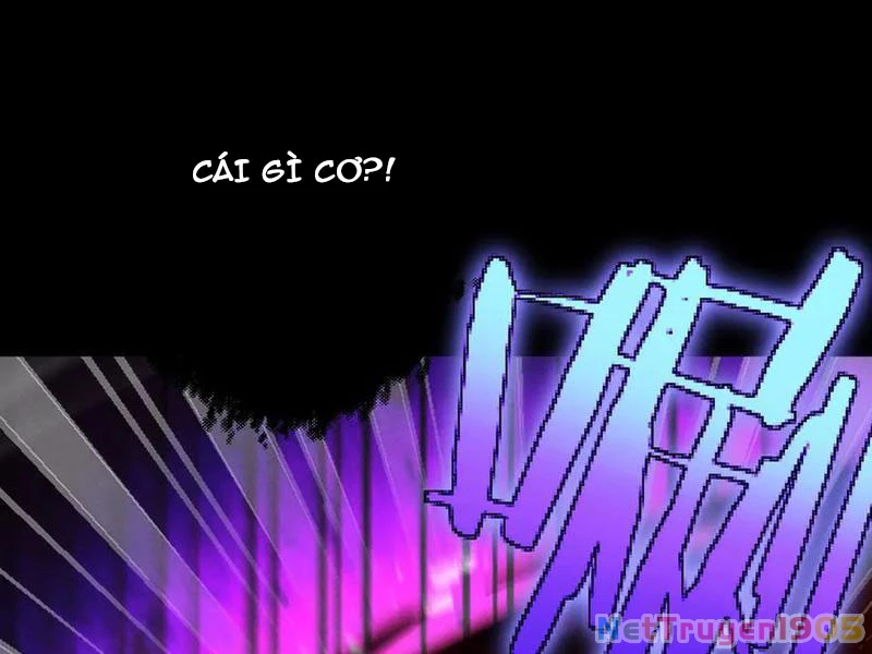 Gặp Mạnh Thì Mạnh, Ta Tu Vi Vô Thượng Hạn Chapter 70 - Trang 2