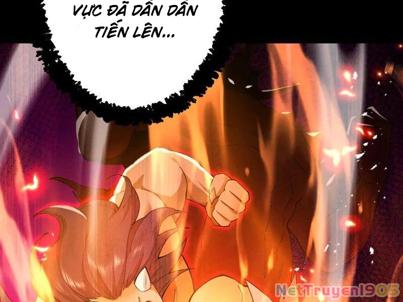 Gặp Mạnh Thì Mạnh, Ta Tu Vi Vô Thượng Hạn Chapter 70 - Trang 2