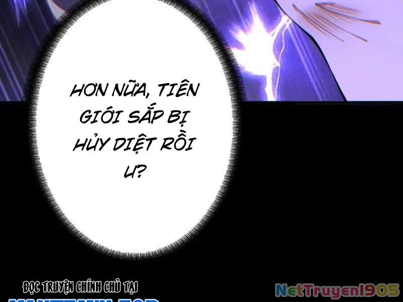 Gặp Mạnh Thì Mạnh, Ta Tu Vi Vô Thượng Hạn Chapter 70 - Trang 2