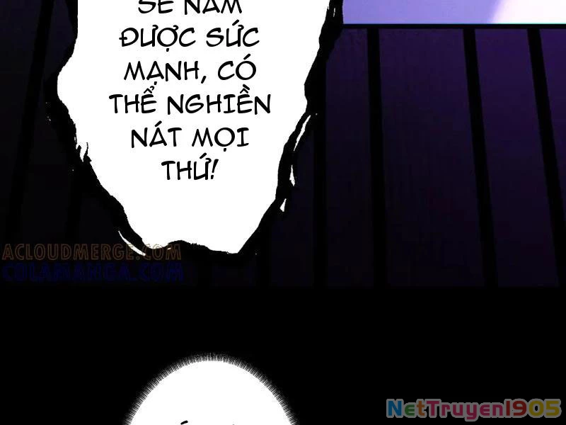 Gặp Mạnh Thì Mạnh, Ta Tu Vi Vô Thượng Hạn Chapter 70 - Trang 2