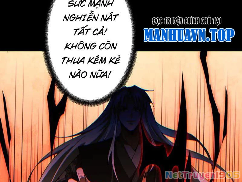 Gặp Mạnh Thì Mạnh, Ta Tu Vi Vô Thượng Hạn Chapter 70 - Trang 2