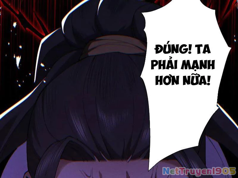 Gặp Mạnh Thì Mạnh, Ta Tu Vi Vô Thượng Hạn Chapter 70 - Trang 2